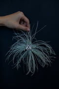 MINT FEATHER ACCESSORY